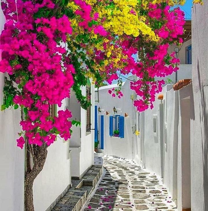 Melinas House - Mykonos Town Apartment Bagian luar foto